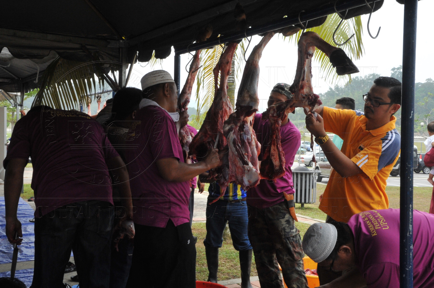 PRO15 150 KORBAN HAS 7015